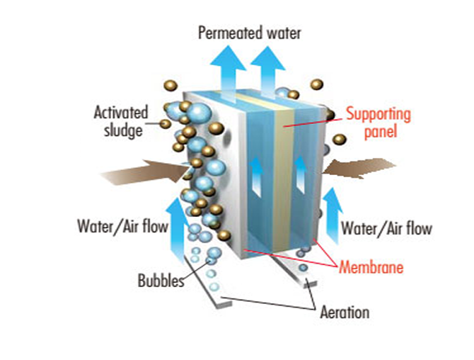 ultrafiltration membrane